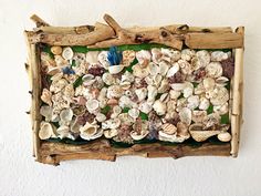 an art piece made out of driftwood and sea shells is hanging on the wall