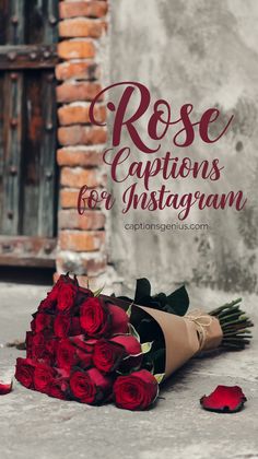 Image displays a bouquet of vibrant red roses wrapped in brown paper, resting against a rustic brick and concrete wall. The text "Rose Captions for Instagram" is prominently shown in a romantic, cursive font. The overall theme emphasizes beauty, romance, and elegance, providing Instagram users with creative caption ideas for rose-themed photos. Ideal for posts focused on love, romance, or floral arrangements. Rose Captions For Instagram, Rose Captions, Poetic Lines, Floral Photos, Best Rose, Classic Quotes, Caption For Yourself