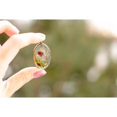 a hand holding a glass ball with flowers inside