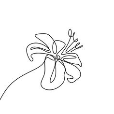 a line drawing of a flower on a white background