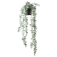 an artificial plant hanging from the side of a wall