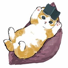 an orange and white cat laying on top of a purple pillow wearing a black hat