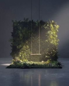 a suspended planter in the middle of a room