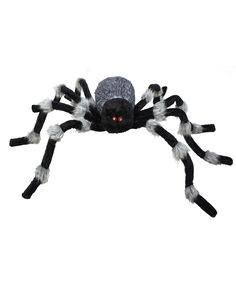 a black and white spider with red eyes