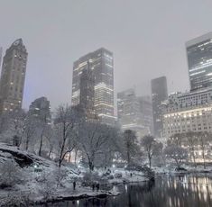 the city skyline is covered in snow as it sits next to a lake and trees