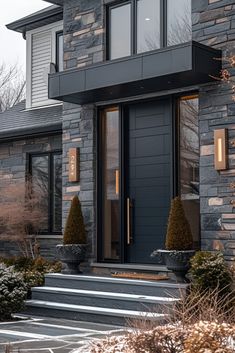 the front door of a house with steps leading up to it and two bushes on either side