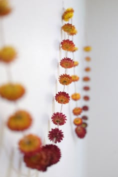 an arrangement of flowers hanging from the ceiling in front of a wall with white walls