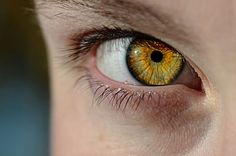 a close up view of an eye with yellow iris