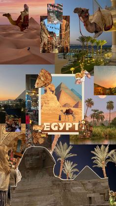 the collage shows images of egypt and palm trees