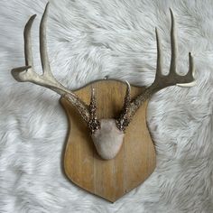 a deer's head mounted on a wooden plaque