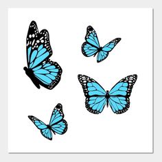 four blue butterflies flying in the sky