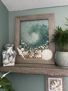 a shelf with shells and plants on top of it in front of a framed photo