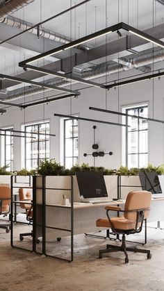 an open office with desks and chairs in the center, along with hanging plants