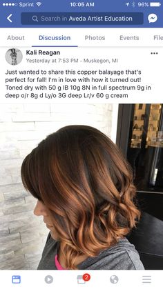 Ginger Balayage, Balayage Copper, Copper Ginger, Pravana Hair Color