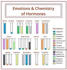 the different types of chemicals in test tubes and beakles with captioning below