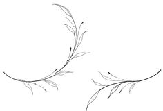 two branches with leaves on them are drawn in black and white, one is curved to the side