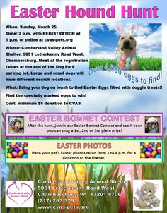 an easter bunny hunt flyer is shown