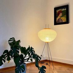 two plants are sitting on the floor next to a lamp