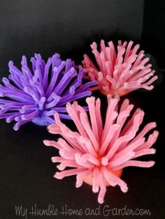 three pink and purple flowers sitting on top of a black table next to each other