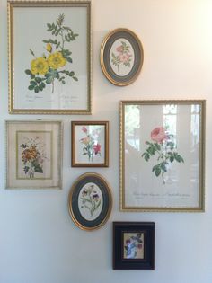 several framed flowers are hanging on the wall