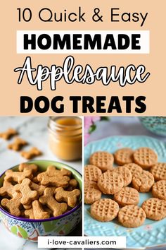 homemade appetizing dog treats with text overlay