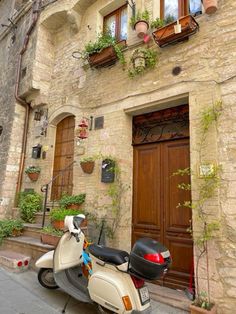 a scooter parked in front of a building with potted plants on the windows