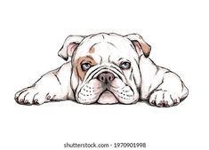 a drawing of a dog laying down on the ground