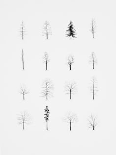 a group of trees that are standing in the snow