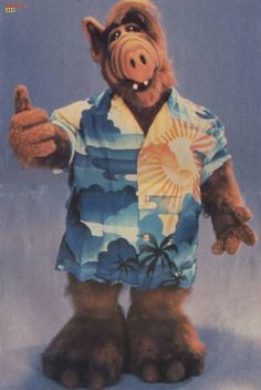 a monkey dressed in a hawaiian shirt giving the thumbs up sign with his right hand