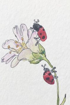 Painting Inspo Watercolor, Paint Pen Flowers, Watercolor Drawing Easy, Ladybug Drawings, Watercolor Art Simple, Watercolor Art Love, Postcard Art Ideas, Drawing Ideas Watercolor, Watercolor Pen Art