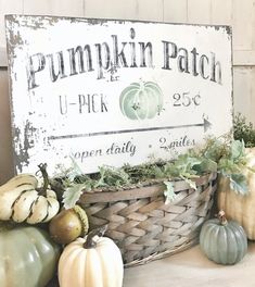 pumpkin patch sign sitting on top of a table next to gourds and squash