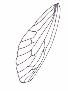 a drawing of a leaf on a white background