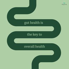 Say it with us: the foundation of overall wellness is...🥁🥁🥁 gut health!🌱✨ Why? Because it can shape your immunity, impact your mood & sleep, and affect nutrient absorption among other things! At nbpure, we're here to help you be the champions of your gut health💪🏽💚 Health Wellness Quotes Motivation, Gut Health Illustration, Healing Gut Health Aesthetic, Gut Health Aesthetic Pictures, Gut Health Vision Board, Health And Wellness Instagram Feed, Gut Health Quotes, Gut Health Aesthetic, Gut Supplements