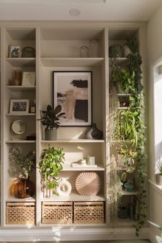 the shelves are filled with plants and other things