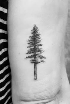 a small pine tree tattoo on the right side of the ribcage is shown