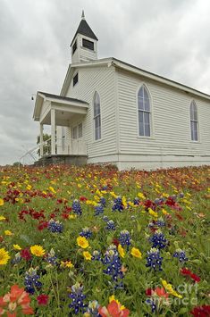 an old church surrounded by wildflowers and other flowers