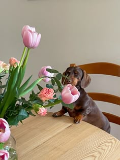 #daschshund #animal #puppy #dog #cuteanimals #tulips #poppys #flowers #matilda #matildadjerf #y2k #sneakers #djerfavenue #minimal #simple #fashion #sausagedog #puppy #cutefashion #dog #dogsofinstagram #dogs #puppy #dogstagram #doglover #instadog #dogoftheday #doglife #love #doglovers #pet #cute #puppylove #pets #puppiesofinstagram #instagram #puppies #doggo #dogsofinsta #cat #of #petsofinstagram #ilovemydog #dogphotography #doglove #animals #hund #petstagram #scandi #scandinavian #europeanfashie Y2k Sneakers, Dogs Puppy, Simple Fashion, Puppy Dog, Matilda, Dachshund, Tulips, Puppies, Flowers