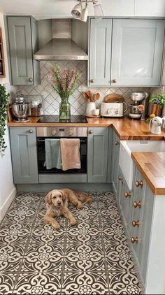 a dog is laying on the kitchen floor in front of an oven and counter top