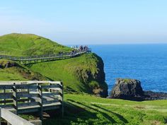 people are walking on a wooden bridge over the water near a grassy hill by the ocean