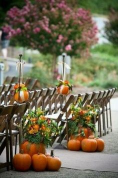 rows of chairs with pumpkins and flowers on them