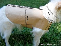 a white dog wearing a paper bag on it's back with instructions for how to use it