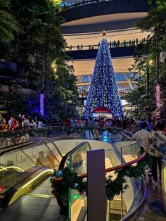 a christmas tree is lit up in the middle of an indoor shopping mall at night