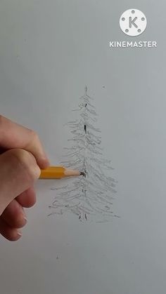 someone is drawing a pine tree with pencils