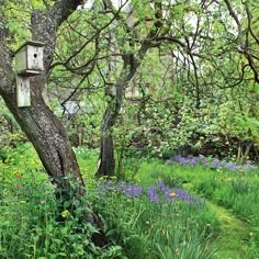 a birdhouse in the middle of a forest with bluebells and wildflowers