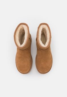 UGG CLASSIC MINI PLATFORM - Bottines à plateau - chestnut/cognac - ZALANDO.FR Ugg Size Chart, Mini Classic, Brown Ankle Boots, Komplette Outfits