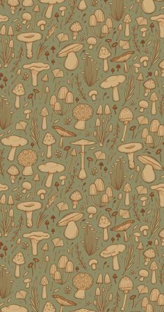 an image of many different mushrooms on a green background