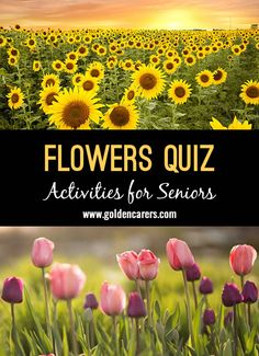 Flowers Quiz: Here's a flower themed quiz to enjoy! May Senior Activities, Cognitive Activities For Seniors, Reminicing Activities, Ltc Activities, Senior Trivia, Seniors Activities, Activities Director, Calendar Planning, Activities For Seniors