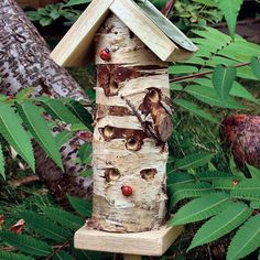 a bird house made out of wood with red berries on it