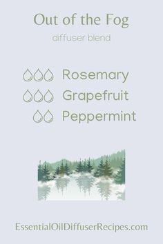 This Out of the Fog essential oil diffuser blend contains rosemary, grapefruit, and peppermint essential oils. Essential Oil Spray Recipes, Essential Oils Collection, Essential Oils Guide, Essential Oil Diffuser Recipes, Oil Diffuser Recipes, Yl Essential Oils, Essential Oil Blends Recipes, Essential Oil Mixes