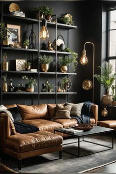 a living room filled with furniture and lots of plants on the shelves above it's windows